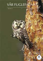 Norsk Ornitologisk Forening Vår Fuglefauna   2006 4 årgang 29