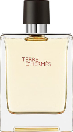 Hermès Terre d'Hermès Eau de Toilette 100 ml - Treaktig Duft for Menn Hermès Terre d'Hermès Eau de Toilette 100 ml - Treaktig Duft for Menn