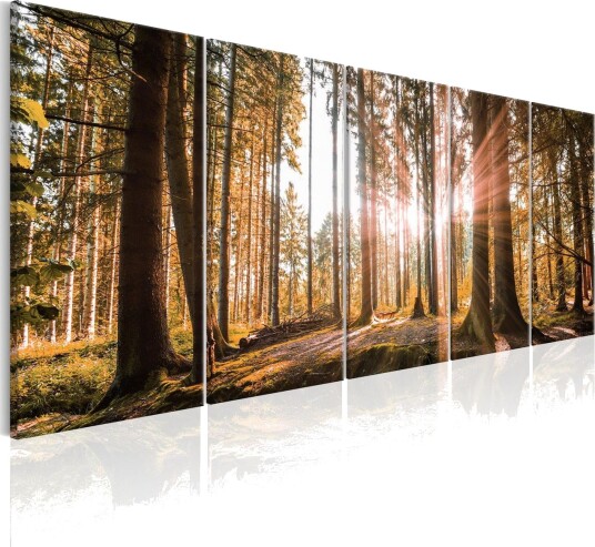 Bilde Beauty Of Nature 225x90 Artgeist sp. z o. o.