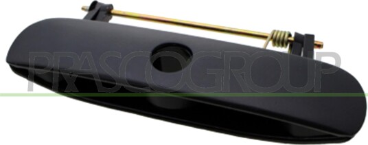 Dørhåndtak PRASCO VG0238341