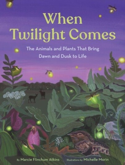 When Twilight Comes When Twilight Comes