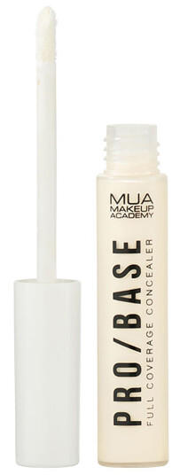 MUA Makeup Academy Pro Base Full Cover Concealer 100
