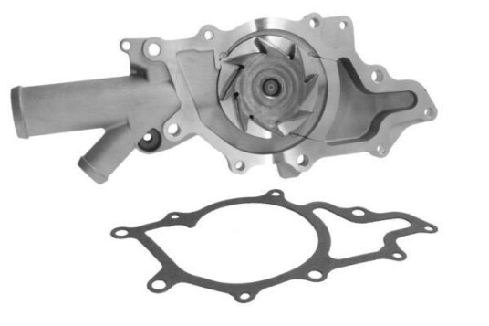 THERMOTEC D1M042TT Vannpumpe THERMOTEC D1M042TT Vannpumpe