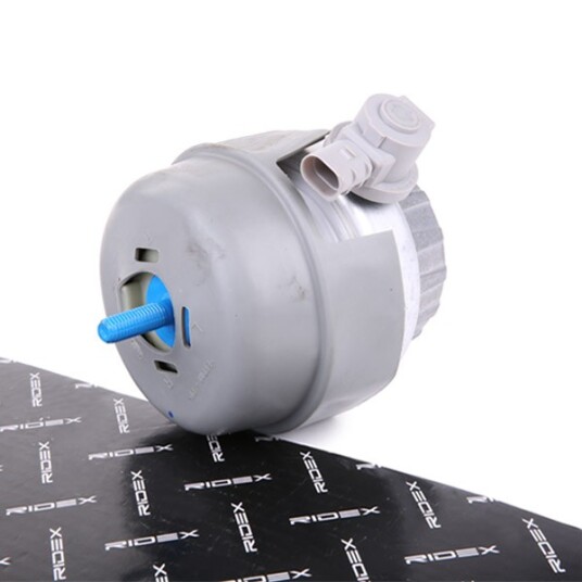 Motorfeste RIDEX 247E0300