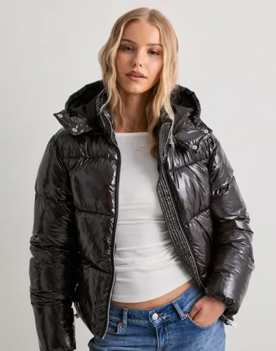 Nelly Brun Everyday Shiny Puffer Jacket Nelly Brun Everyday Shiny Puffer Jacket