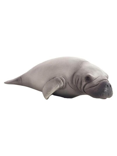 Mojo Sealife Manatee