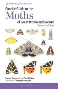 Concise Guide To The Moths Of Great Britain And Ireland: Second Edition Av Martin Townsend, Dr Paul Waring Concise Guide To The Moths Of Great Britain And Ireland: Second Edition Av Martin Townsend, Dr Paul Waring