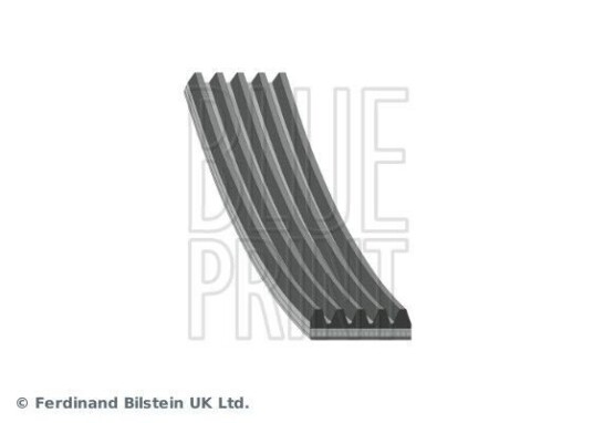 Kileribberem BLUE PRINT AD05R1125
