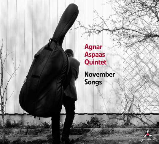 Agnar Aspaas November Songs CD
