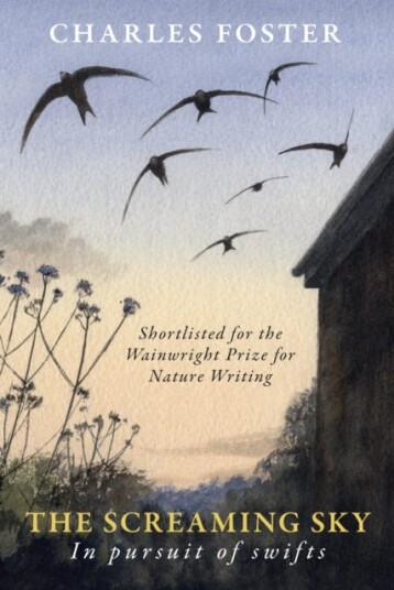 The Screaming Sky  in pursuit of swifts