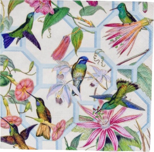 Caspari   Hummingbird Trellis serviett 24x24 cm 20 stk