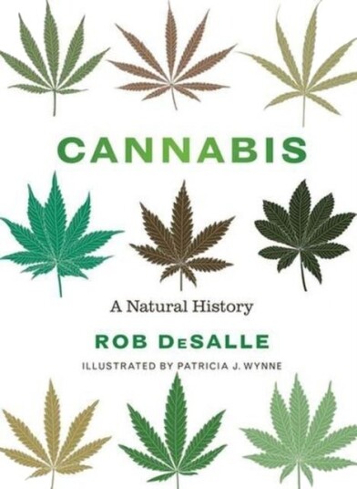 Cannabis