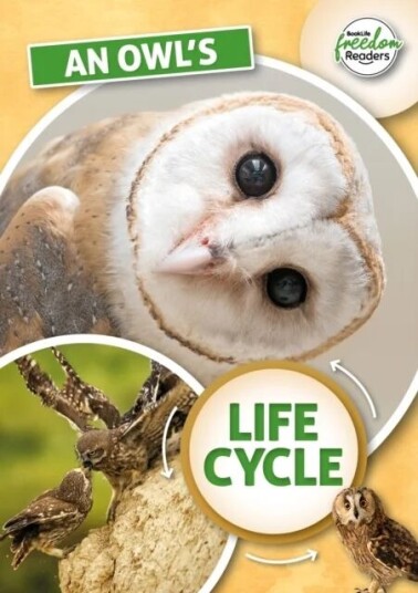 An Owl'S Life Cycle Av Madeline Tyler