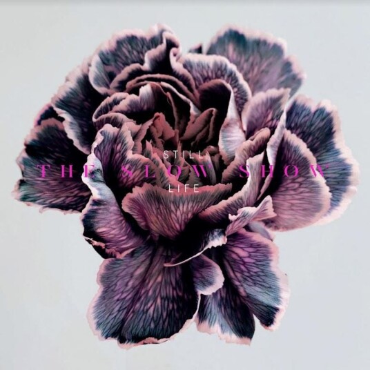 The Slow Show Still Life LP/Vinyl The Slow Show Still Life LP/Vinyl