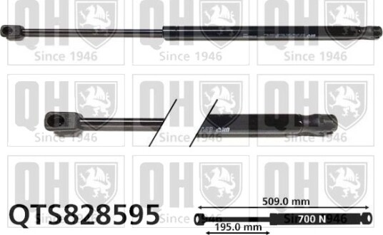 QUINTON HAZELL QTS828595 Baklukedemper