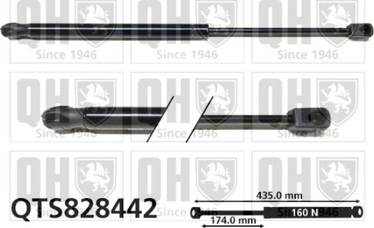 Gassfjær, bakrute QUINTON HAZELL QTS828442