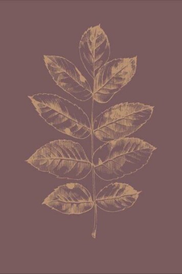Malerifabrikken Poster Botanica 2 1588989-01-136