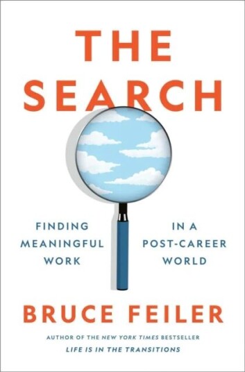 The Search Av Bruce Feiler