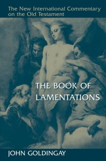 Book Of Lamentations Av John Goldingay