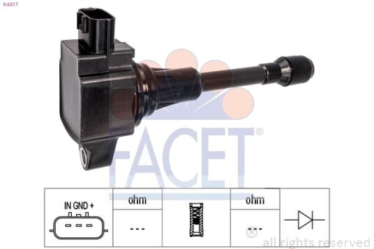FACET 9.6517 Tennspole