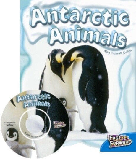 Antarctic Animals Antarctic Animals