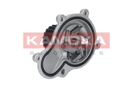 KAMOKA T0076 Vannpumpe
