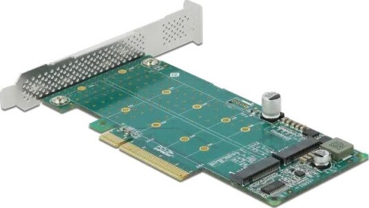 DeLOCK PCI Express x8-kort for 2x intern NVMe M.2 Key M