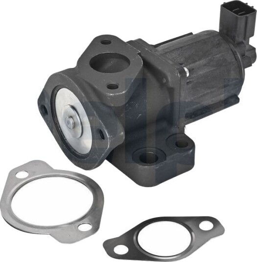 DELPHI EG10637-12B1 EGR-ventil