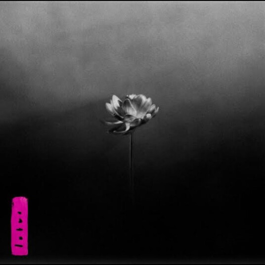 Little Simz Lotus CD