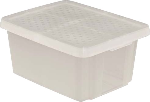 Curver Oppbevaringsboks Med Lokk Essentials 16 L Hvit 225356 Curver Oppbevaringsboks Med Lokk Essentials 16 L Hvit 225356