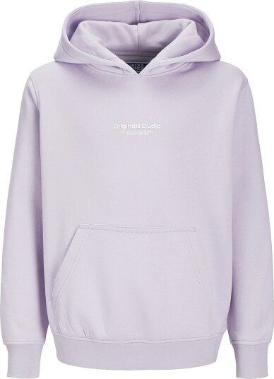 Jack & Jones Hettegenser Noos JorVesterbro JNR Cosmic Sky Jack & Jones 12 år 152 Hettegenser Lilla