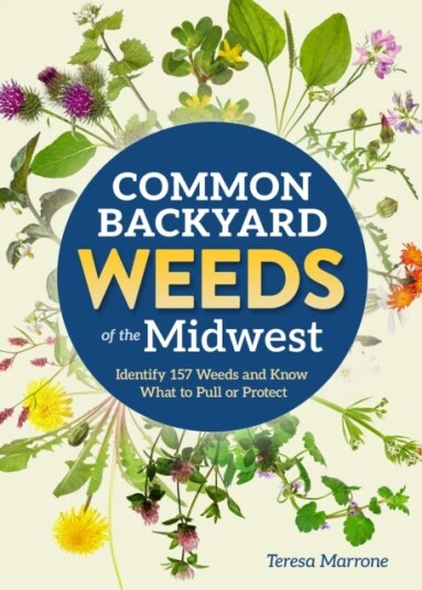 Common Backyard Weeds of the Midwest  Identify 157 Weeds and Know What to Pull or Protect