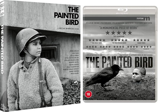 The Painted Bird
