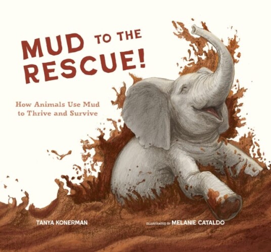 Mud to the Rescue!  How Animals Use Mud to Thrive and Survive