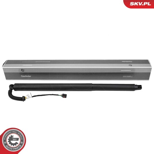 Elektromotor bakluke ESEN SKV 52SKV253