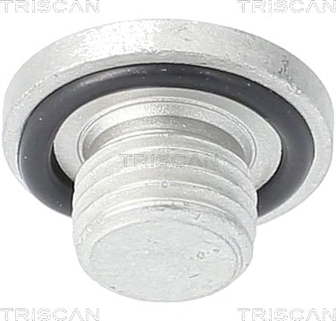 Påfyllingsplugg bunnpanne TRISCAN 9500 2401