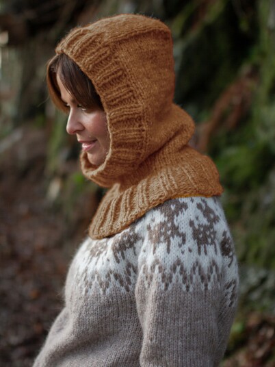 221K-12e MJUK hood