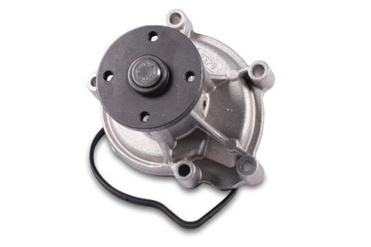 HEPU P1539 Vannpumpe HEPU P1539 Vannpumpe