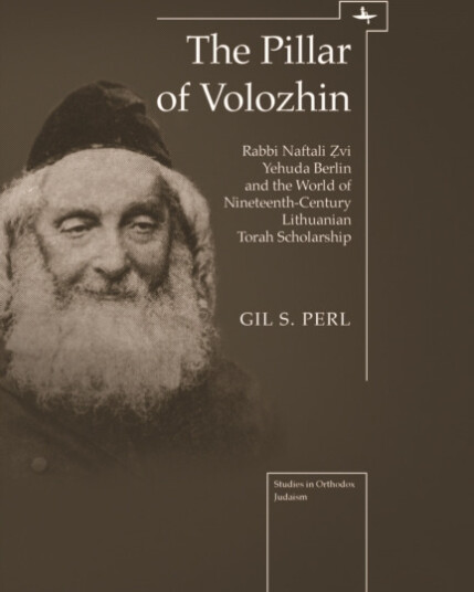 Pillar of Volozhin  Rabbi Naftali Zvi Yehuda Berlin and the World of Nineteenth Century Lithuanian Torah Scholarship