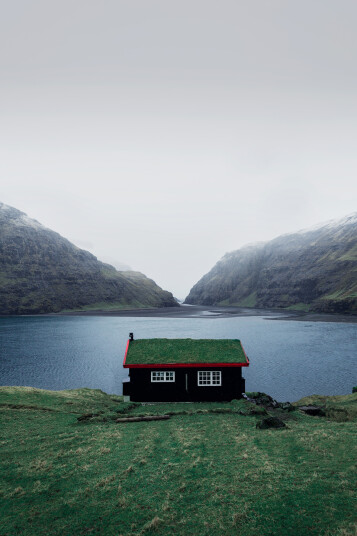 Mist And Snow av Mikkel Beiter