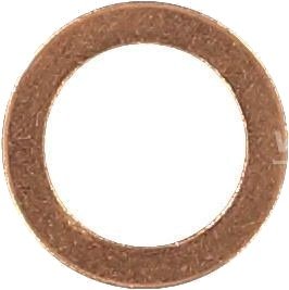 Tetningsring REINZ 41-70060-00