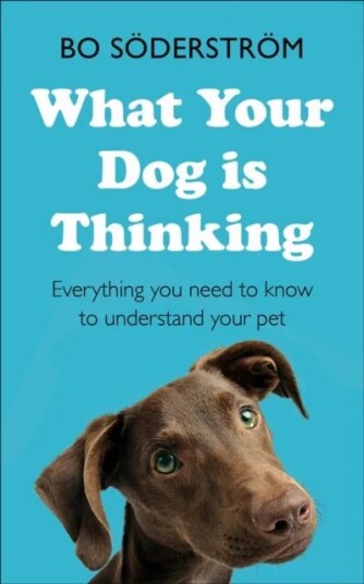 What Your Dog Is Thinking Av Bo Soderstrom