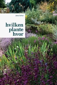 Schul Jane Hvilken plante hvor