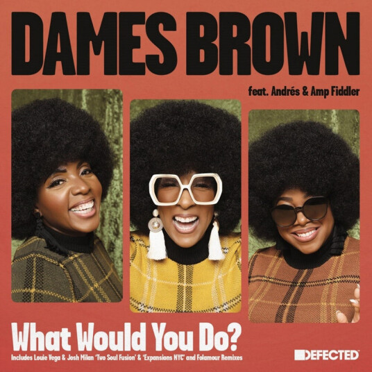 What Would You Do? (remixes) What Would You Do? (remixes)