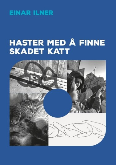 Haster med å finne skadet katt Haster med å finne skadet katt