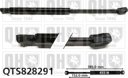 QUINTON HAZELL QTS828291 Baklukedemper