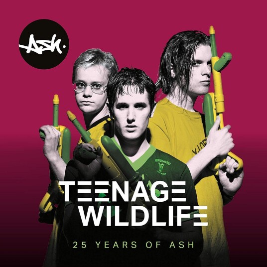 Ash  Teenage Wildlife  25 Years Of Ash  CD