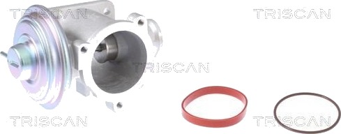 EGR ventil TRISCAN 8813 11003