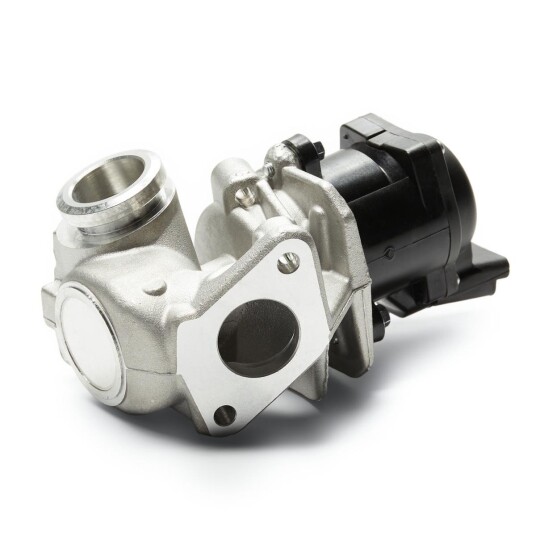EGR Ventil DELPHI EG10507-12B1 EGR Ventil DELPHI EG10507-12B1