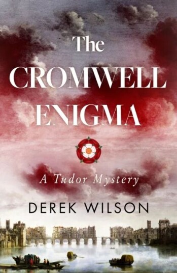 The Cromwell Enigma Av Derek Wilson